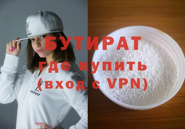 сатива Новозыбков