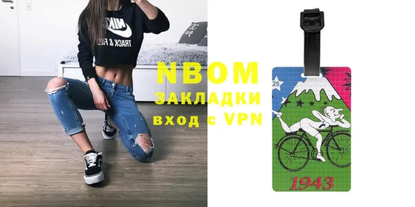 сатива Новозыбков
