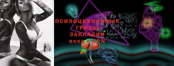 прущая мука Нея