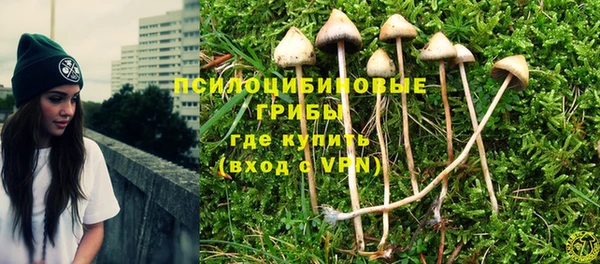 прущая мука Нея
