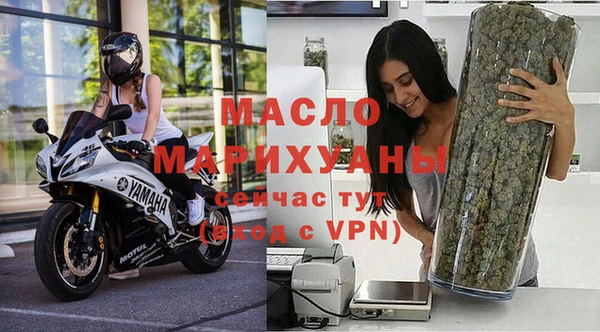 сатива Новозыбков