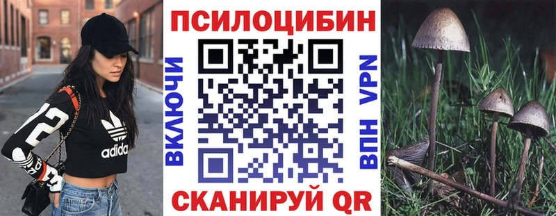 Псилоцибиновые грибы MAGIC MUSHROOMS  дарк нет состав  Шлиссельбург 